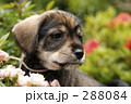 あっちもいいな・・・・