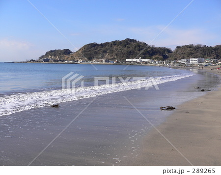 海 海