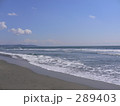 海