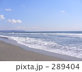 海