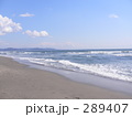 海