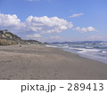 海