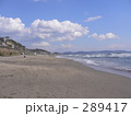 海