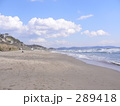 海