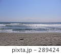 海