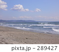 海