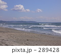 海
