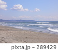海