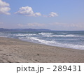海