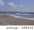 海