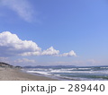 海