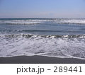 海