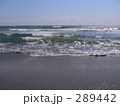 海