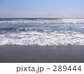 海
