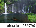 新緑の白糸１