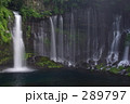 新緑の白糸２