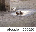水浴び2