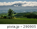 290905