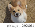 にやり