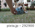 あたしのボール