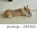 おもちゃに熱中