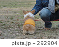 おしり