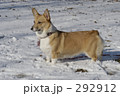 お鼻に雪がついてるよ