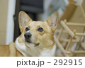 ん？