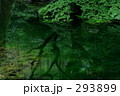 水の生まれる場所