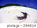 無人島にゴミ(モルディブ共和国)