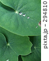 294810