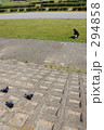 Birds and man.