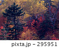 紅葉の里
