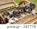 きょうはあついなぁ～・・・・