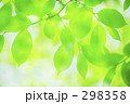 新緑