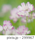 299967