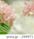 299971