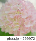 299972