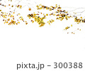 yellow leaves