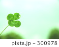 空と四葉と