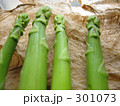 アスパラ緑
