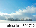 301712