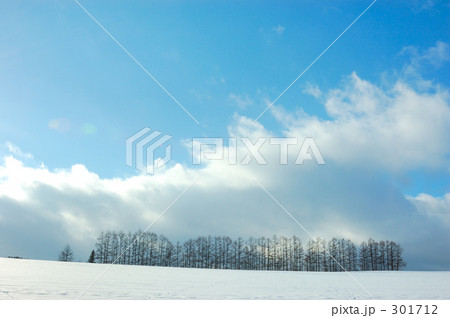 自然 雪景色 雪原