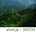森林