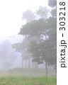 霧　２
