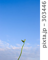 LOHASの芽