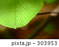 葉