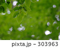 自然 陽射し リラックス