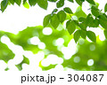 304087