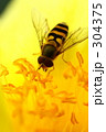 f0874